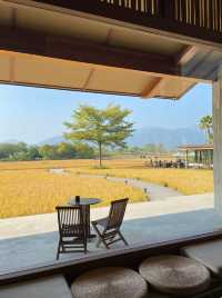 稻田民宿私湯指南