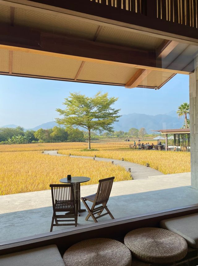 稻田民宿私湯指南 稻田民宿私湯指南