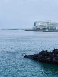 🍴【鼓浪嶼號美食全攻略】免費餐廳＋隱藏收費避坑指南！