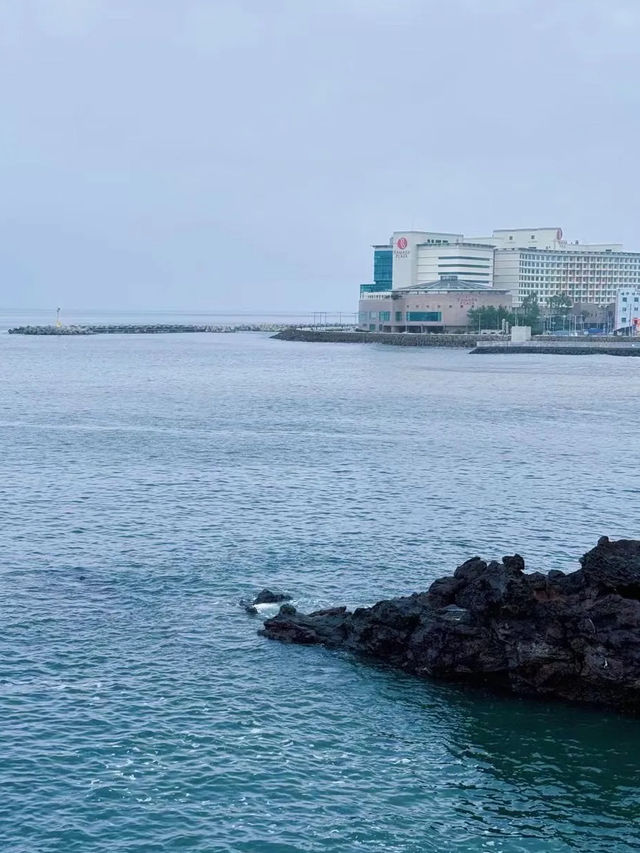 🍴【鼓浪嶼號美食全攻略】免費餐廳＋隱藏收費避坑指南！