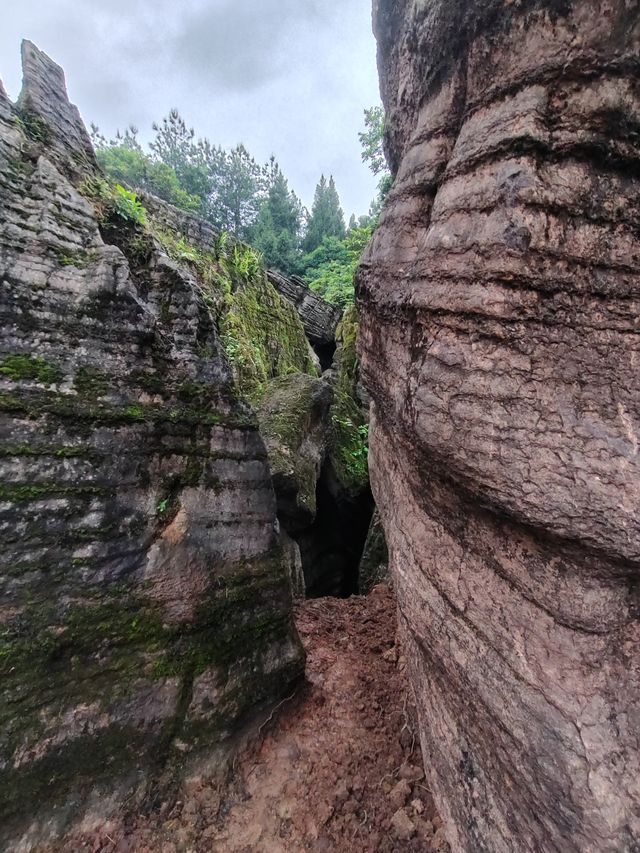 湘西地質公園.紅石林 湘西地質公園.紅石林