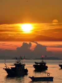 秋日南麂列島|黃草坪與礁石的絕美邂逅