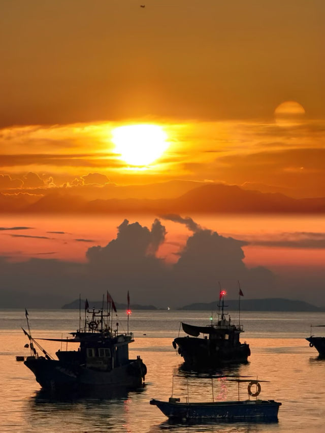 秋日南麂列島|黃草坪與礁石的絕美邂逅 秋日南麂列島|黃草坪與礁石的絕美邂逅