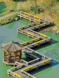 就現在！安吉的秋天已經美成next level！