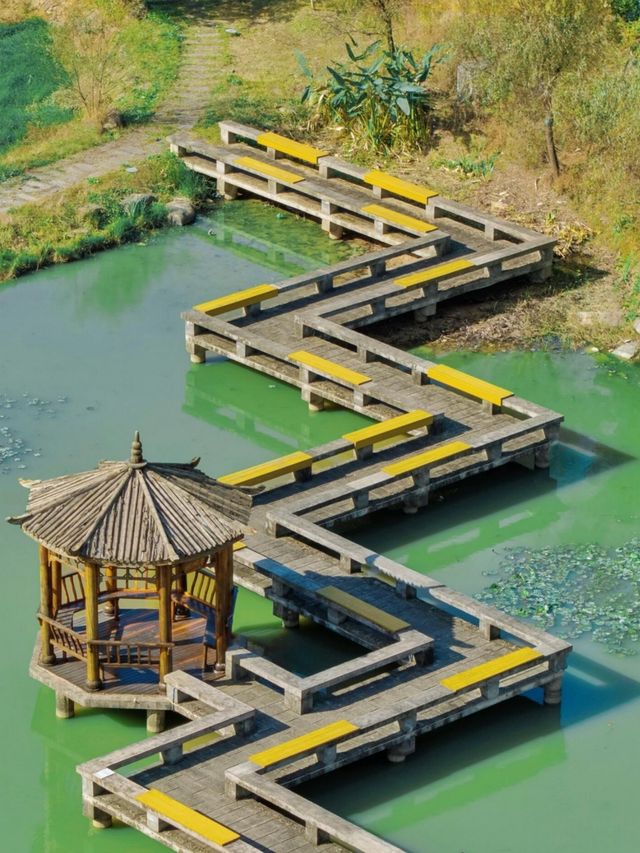 就現在！安吉的秋天已經美成next level！