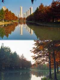 魔都的冬天有多美！紅得像火