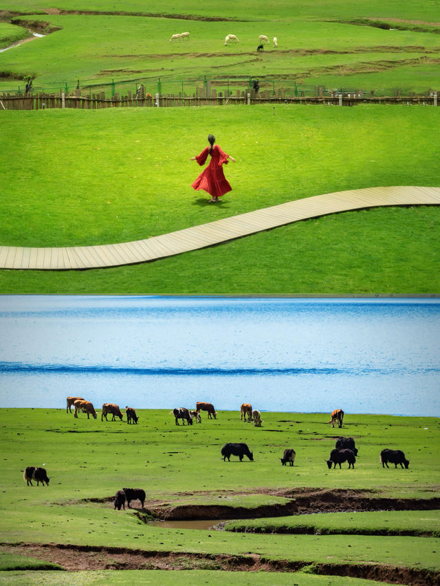 隱世山居首選這裡 隱世山居首選這裡