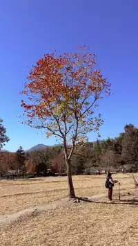 塔川宏村盧村奇墅湖秋景一日攻略