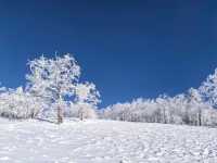 雪谷生存指南:零下30℃的童話世界,南方人也能活下來!