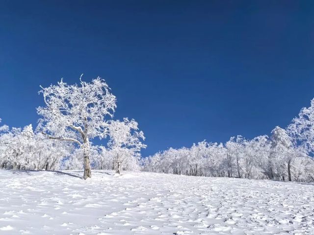 雪谷生存指南:零下30℃的童話世界,南方人也能活下來! 雪谷生存指南:零下30℃的童話世界,南方人也能活下來!