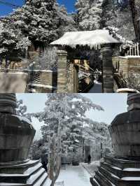 抓緊碼住這份廬山賞雪攻略看霧淞雲海的絕佳時機來了