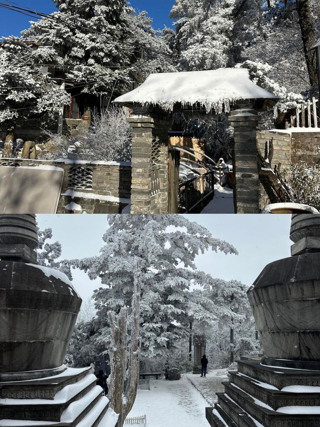 抓緊碼住這份廬山賞雪攻略看霧淞雲海的絕佳時機來了 抓緊碼住這份廬山賞雪攻略看霧淞雲海的絕佳時機來了