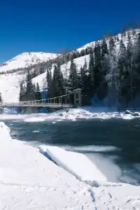 喀納斯冬日夢境|12月闖入冰封童話秘境