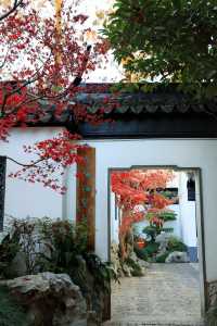 不愧為上海五大園林,驚嘆老祖宗的審美!