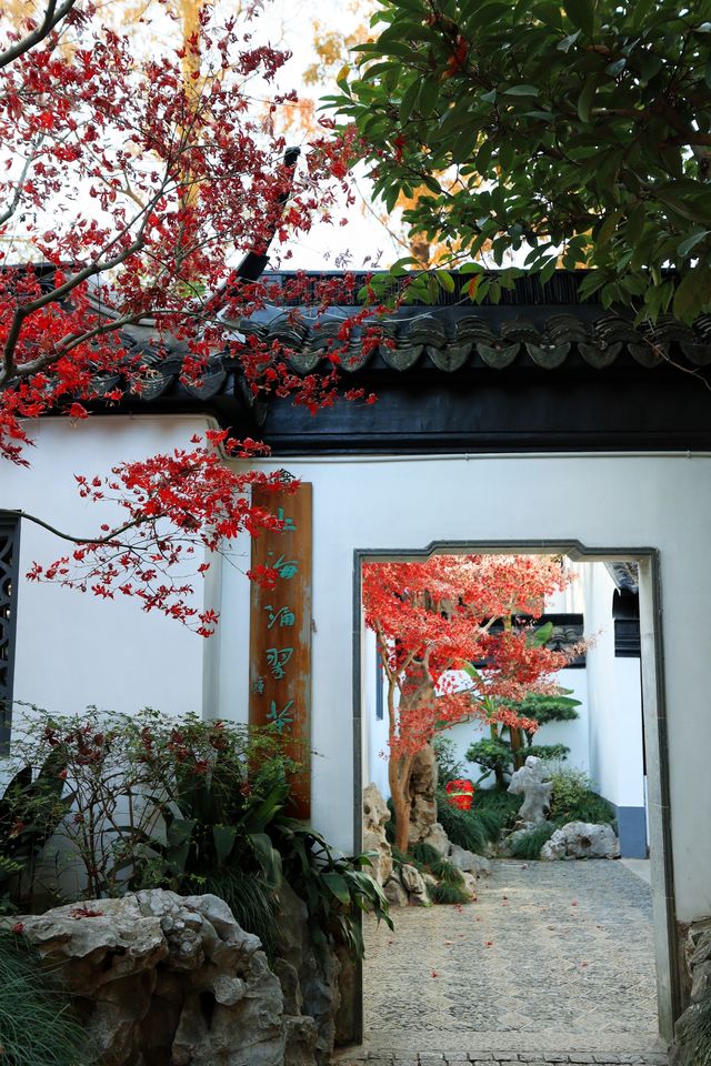 不愧為上海五大園林,驚嘆老祖宗的審美! 不愧為上海五大園林,驚嘆老祖宗的審美!