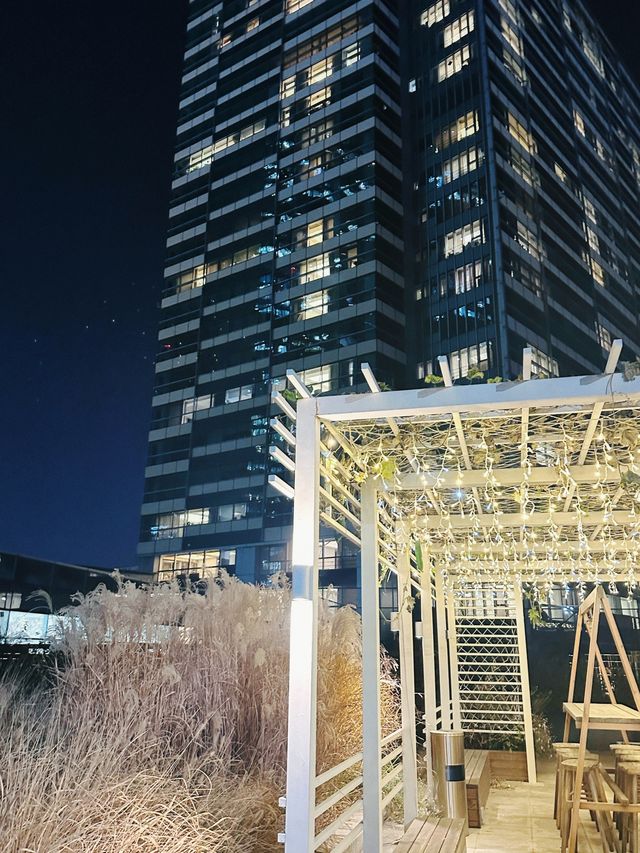 魔都免費旋轉木馬天花板實現遛娃自由