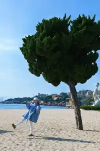 為了這幾個機位專門飛了一次青島