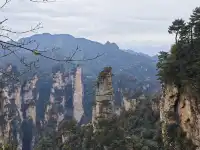 從張家界回來!美到失語!!!