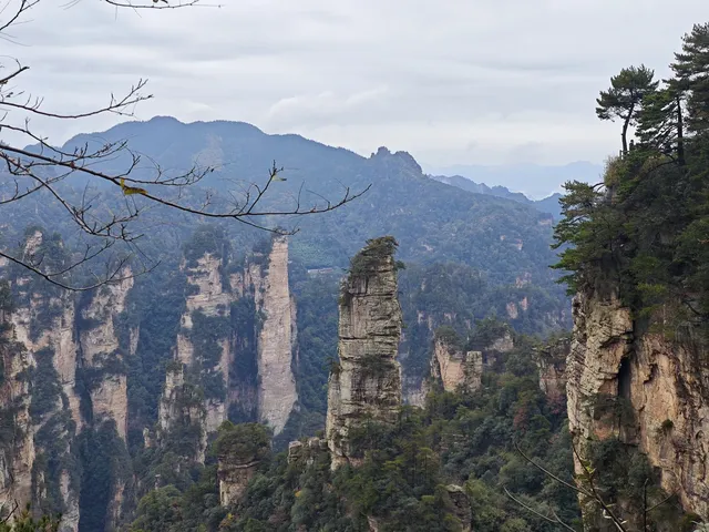 從張家界回來!美到失語!!! 從張家界回來!美到失語!!!