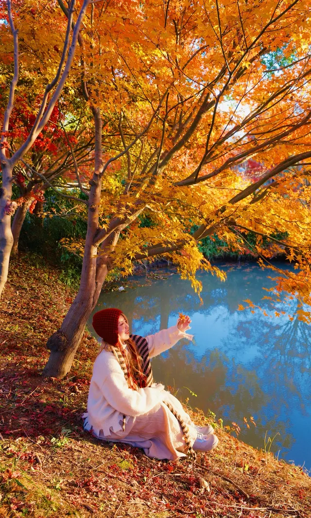 不誇張這是上海拍楓葉最美的公園了 不誇張這是上海拍楓葉最美的公園了