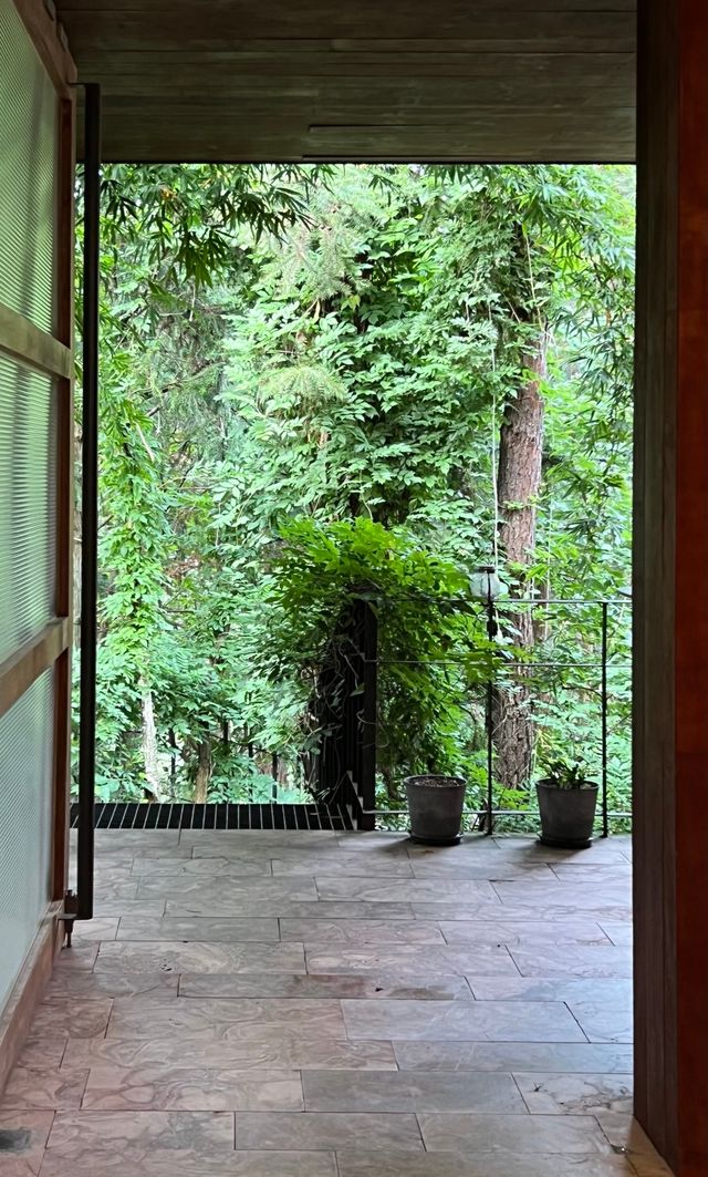 張家界民宿天花板被繡球&森林治癒的完美假期 張家界民宿天花板被繡球&森林治癒的完美假期