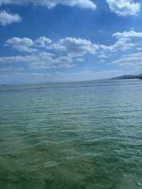 滇池&麗江|12月邂逅紅嘴鷗天堂&雪山古鎮