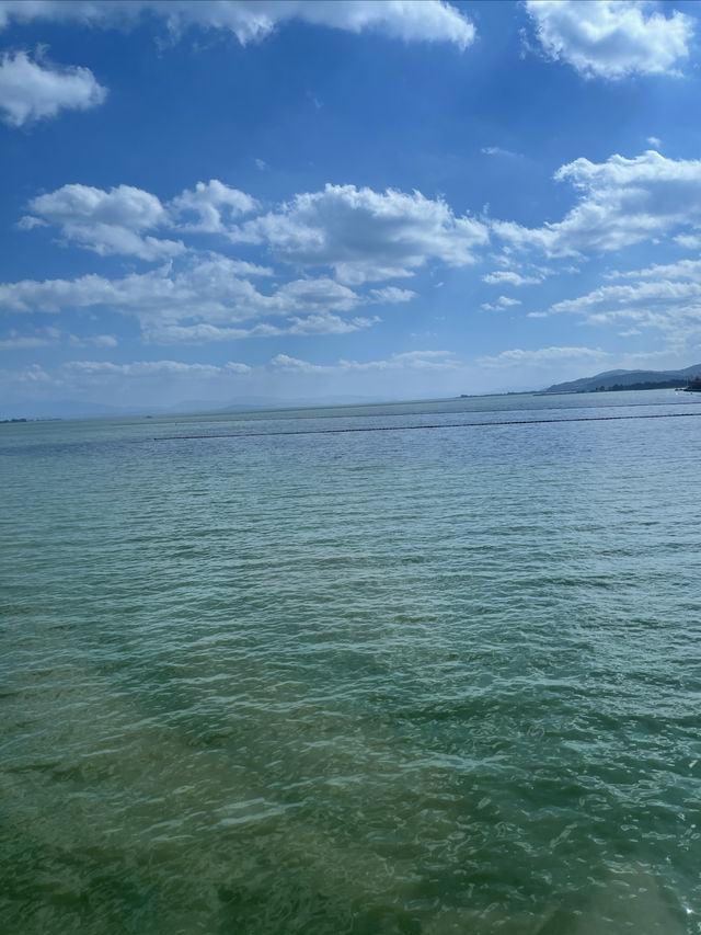 滇池&麗江|12月邂逅紅嘴鷗天堂&雪山古鎮 滇池&麗江|12月邂逅紅嘴鷗天堂&雪山古鎮