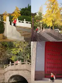 溫江藏著一個「紫禁城」，和銀杏同框太美啦