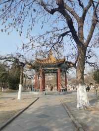 天津中山公園｜秋日限定的金色童話世界  落日銀杏+古建長廊！隨手拍都是電影感大片   天津秋日頂流