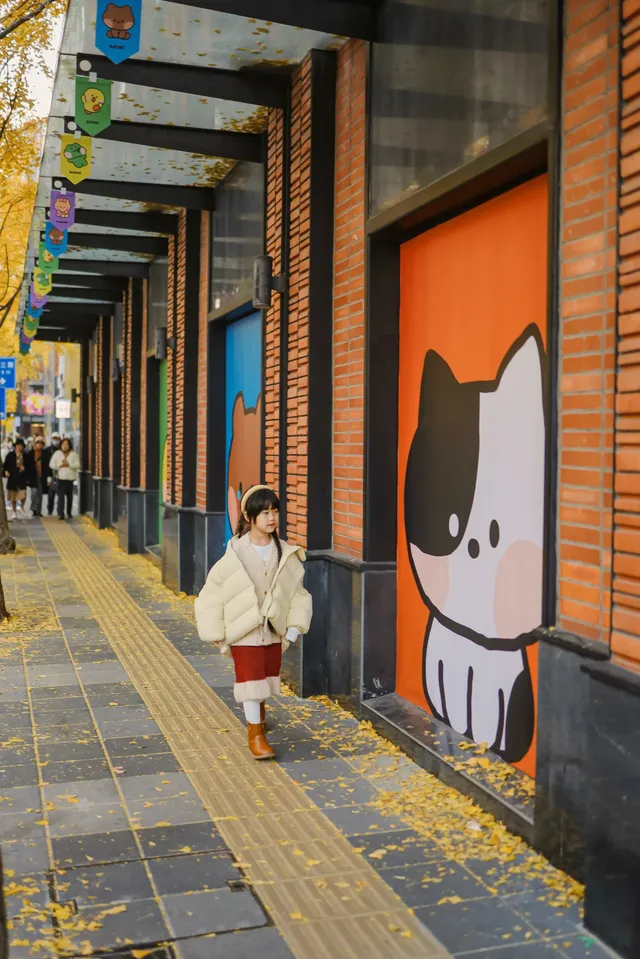 12.5實拍局門路的銀杏黃了!! 12.5實拍局門路的銀杏黃了!!