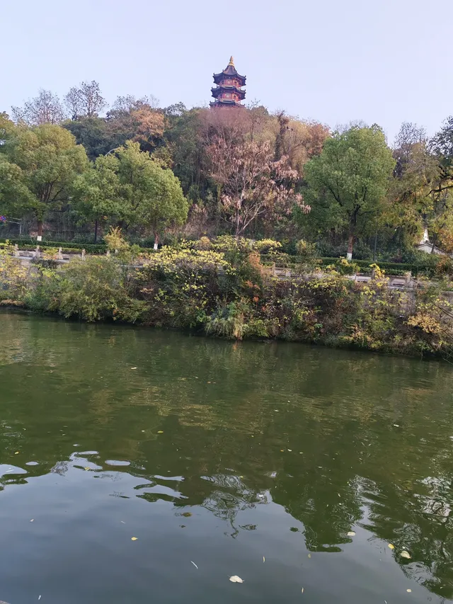 滿城盡飛黃金葉，紹興古城河清園秋色正迷人