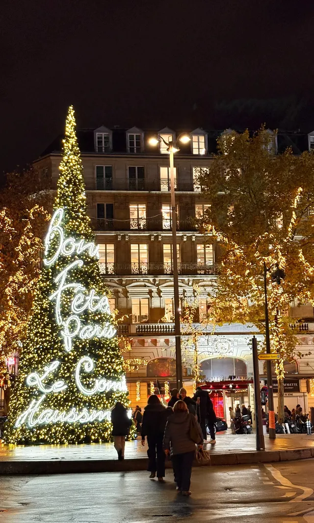 法國聖誕氣氛超濃厚！