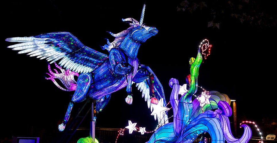 Louisville Zoo’s “Wild Lights Festival” Returns