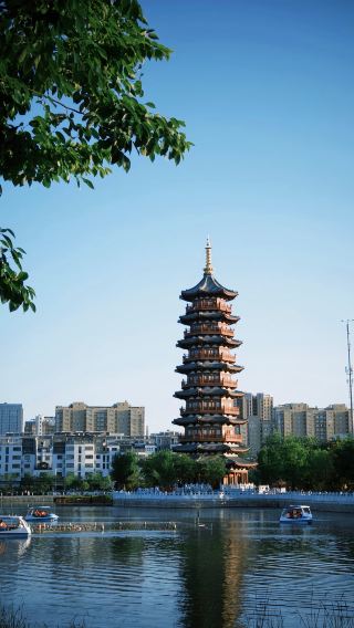 大美な菏泽：半分は牡丹の都、半分は千年の文化の脈