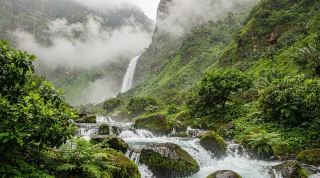 The Khareef Season in Salalah: Oman's Monsoon Wonder