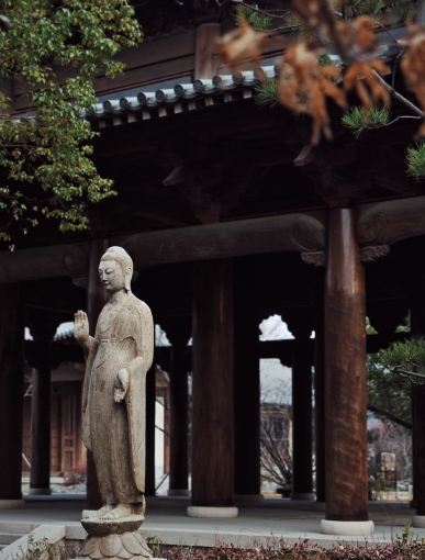 私藏の江南秘境！濮院古鎮の宋韻あふれる美しい写真が最高すぎる
