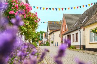 Holm: breathe in the North Sea and dream in pink and purple