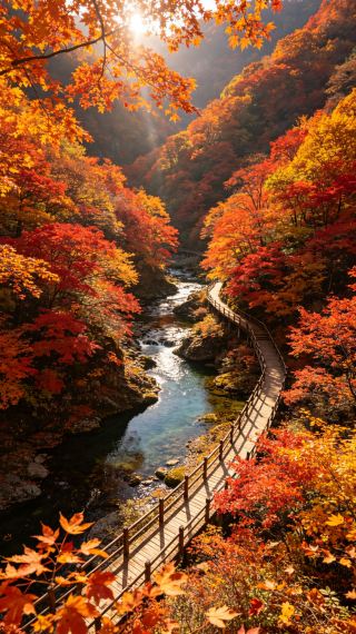 遼東漫遊｜把山河古韻藏進旅途裡