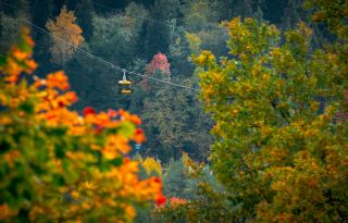 Latvia: the treasure of the Baltic Sea, half urban romance, half forest