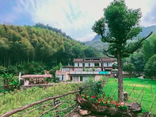 藏於雲端竹林間，赴一場山野清寂之約