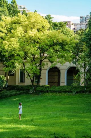 重慶沙坪公園|繁華街の中の森の秘境
