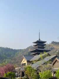 東山問梅村一日遊