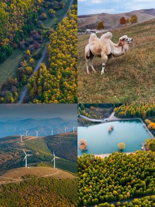 I've just returned from Bashang Grassland in September–October. I really don't recommend going, because it's just so...