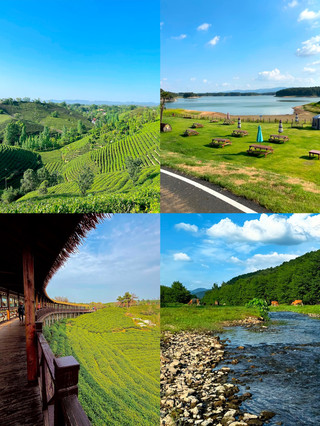 Aku sudah menyerah pada Xinyang, tempat ini terlalu bagus!
