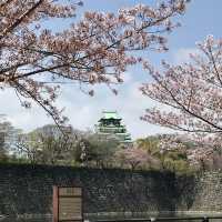 大阪のおすすめお花見スポット【大阪城公園】