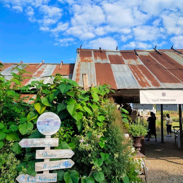 สวนดอกไม้เชียงใหม่ I Love Flower Farm