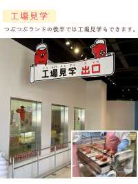 【静岡】めんたいパーク伊豆と周辺観光