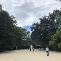 大山祇神社サマ✨