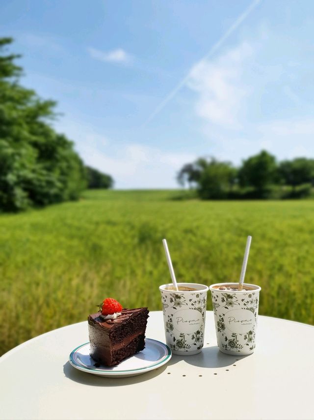 청보리밭이 힐링인 5월에 꼭 가야할 당진 카페피어라🌿