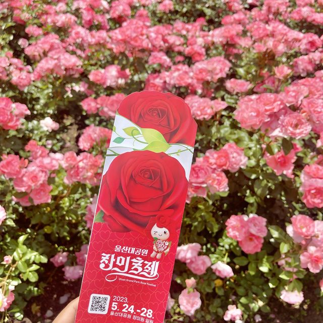 울산대공원 장미축제 2023